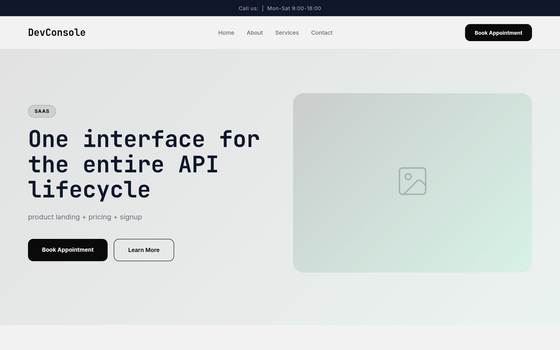 DevConsole