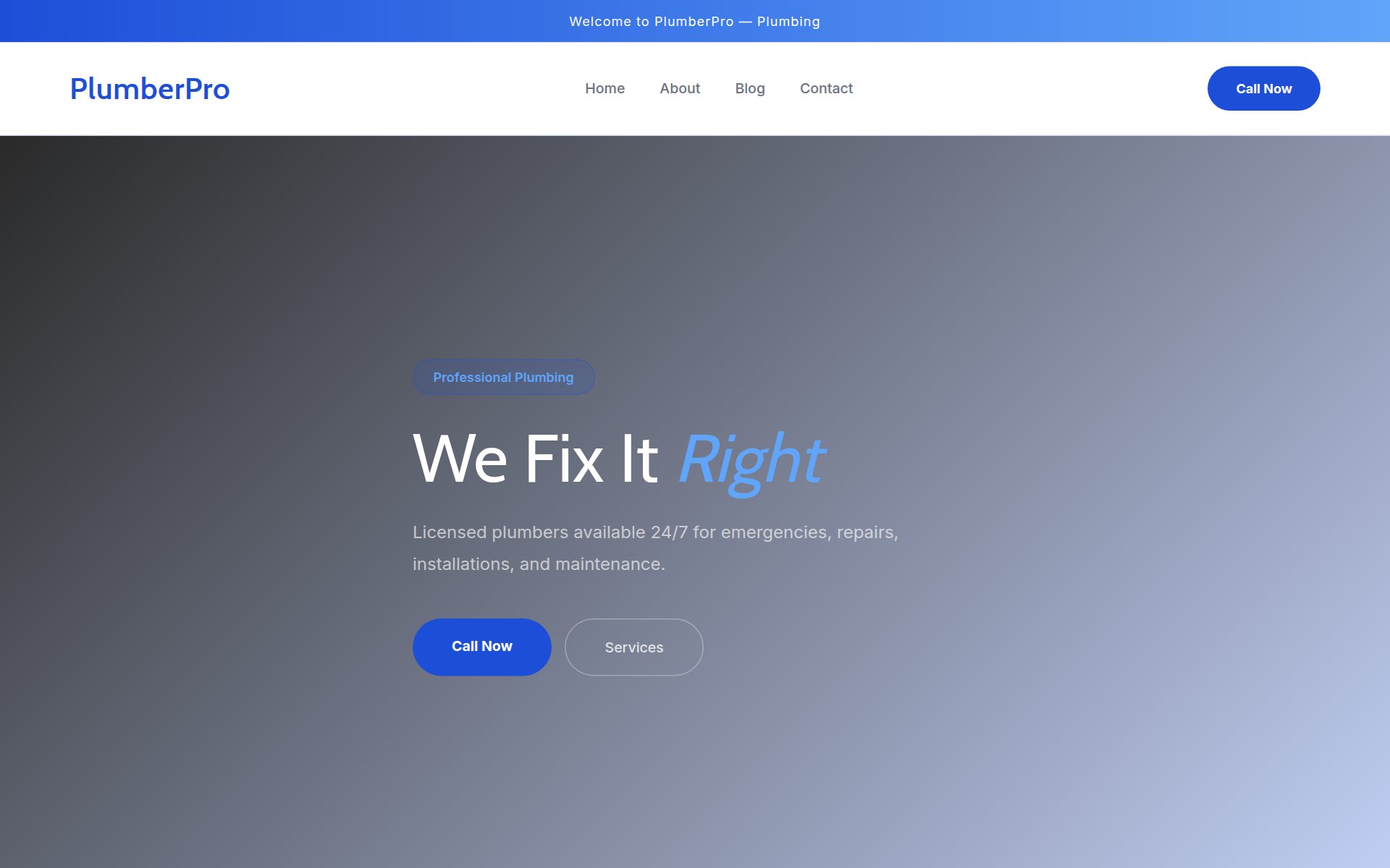 PlumberPro